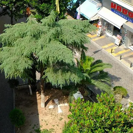 Central Apartment *